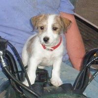 Anita Hildebrand Photo 14