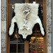 Lisa Wolf Photo 17