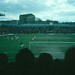 Nelson Macdonald Photo 8