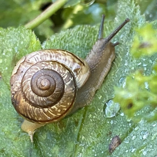 Nicole Schulz Photo 6