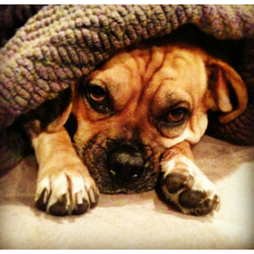 Jason Summers Photo 19