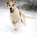 Brian Phipps Photo 15