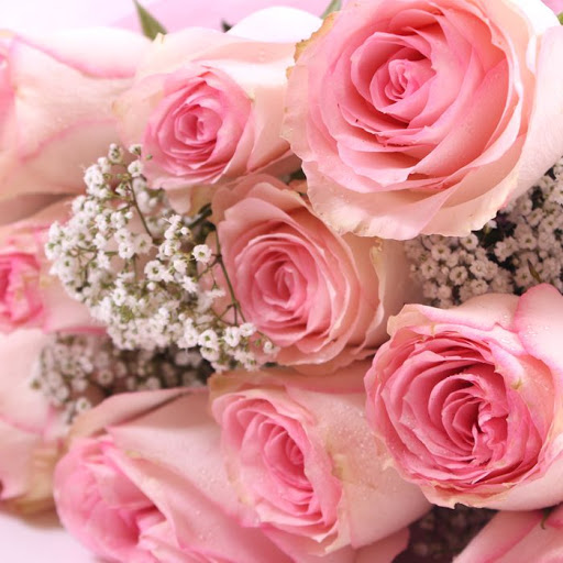 Mohammad Shabbir Photo 14