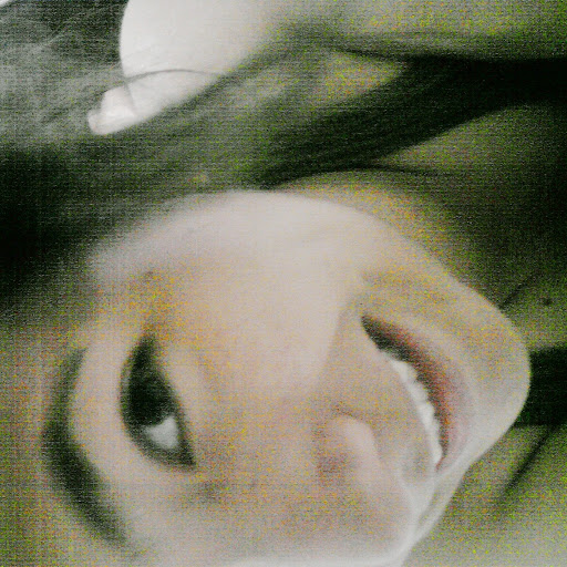 Allison Arias Photo 14