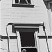 Robert Hitchcock Photo 12