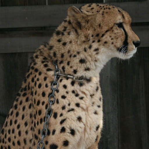 Don Barker Photo 16