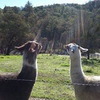 Paul Quinones Photo 27