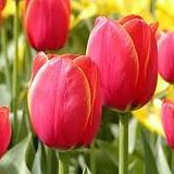 Dawn Winslow Photo 14