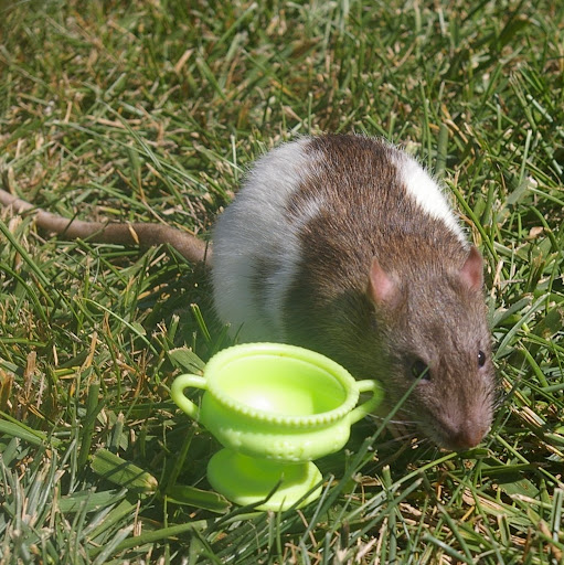 Mary Hackler Photo 9