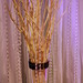 Crystal Thompson Photo 13