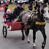 Andrea Gillis Photo 6