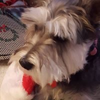 Cathy Rinehart Photo 7