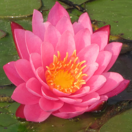 Kathryn Christensen Photo 30 Kathryn Christensen Photo 30