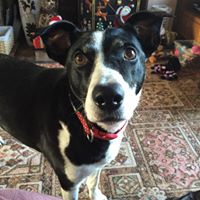 Aimee Brough Photo 3