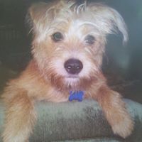 Sally Trahan Photo 9