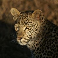 Teresa Whittle Photo 11