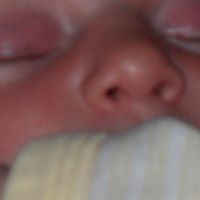 Nancy Kaufmann Photo 5