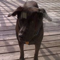 John Clemmons Photo 8