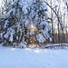 Vicky Swanson Photo 12