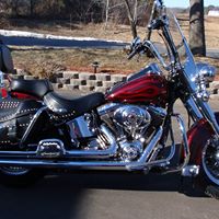 Patricia Macfarlane Photo 15