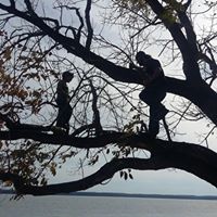 Stacey Howe Photo 25