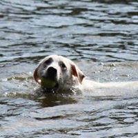 Tracy Crawford Photo 35