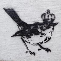 Matthew Reynolds Photo 25