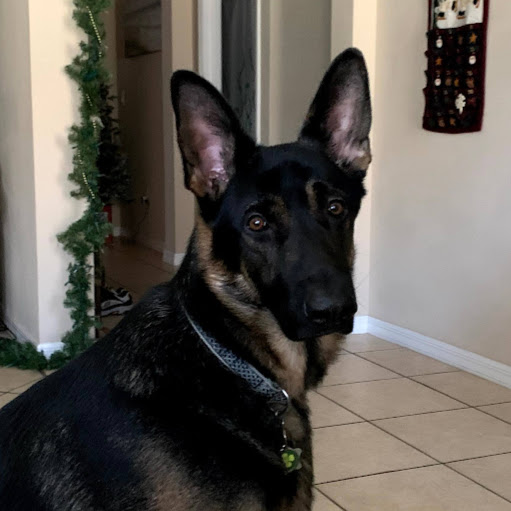 Kelly Patrick Photo 36 Kelly Patrick Photo 36