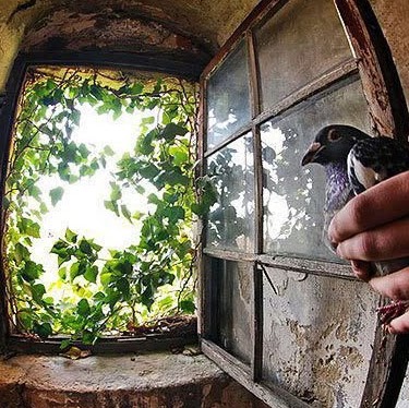 Karen Davenport Photo 20