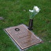 Larry Graves Photo 44