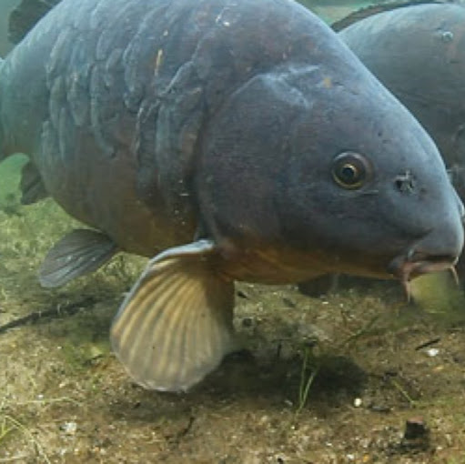 Billy Duncan Photo 37