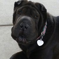 Cynthia Gardner Photo 35