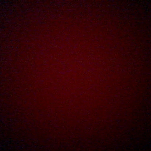 Rebecca Sprigg Photo 4