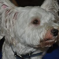 Louis Sharp Photo 14