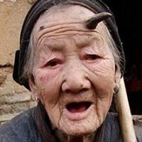Dong Wang Photo 11