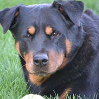 Michelle Tremmel Photo 5