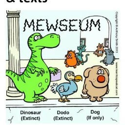 Dawn Harman Photo 23