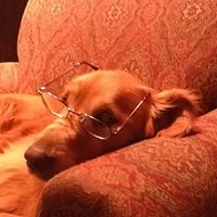 Gerald Cates Photo 8