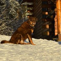 Mark Rayburn Photo 27