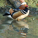 Gary Duck Photo 3