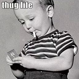 James Moser Photo 16