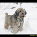 Kathleen Mccullough Photo 16