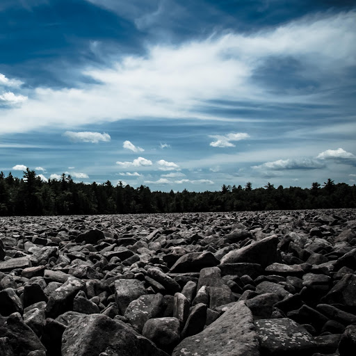 Michael Haines Photo 21