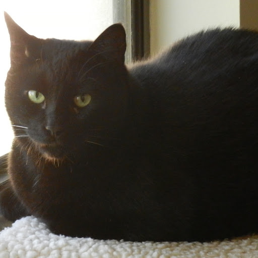 Larry Strickland Photo 38