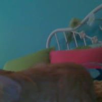 Caroline Conner Photo 36