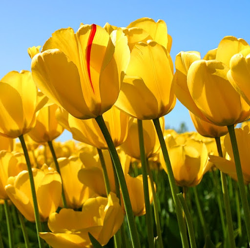 Victoria Calderon Photo 19