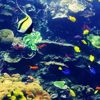 Laura Vickers Photo 15