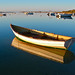 Dawn Christopher Photo 24