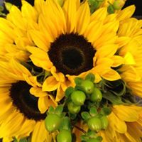 Brenda Kipp Photo 13
