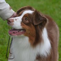 Laurie Shepard Photo 25